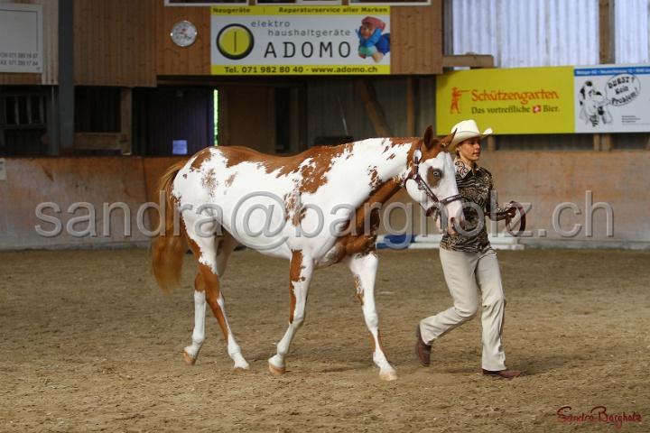 23-APHA SS_025.jpg